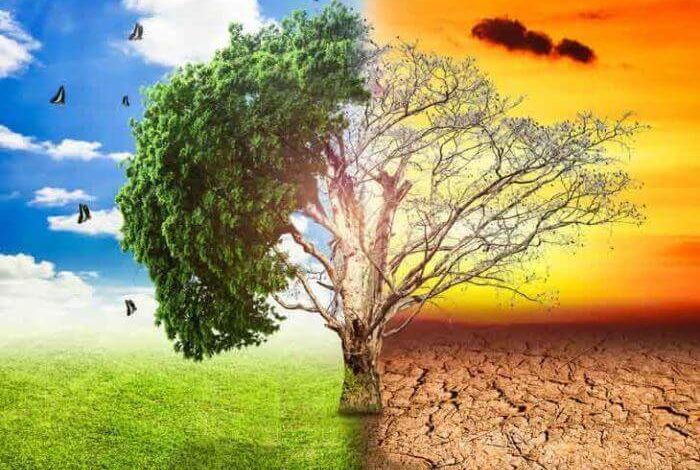Climate Change May Trigger higher Suicide Rates