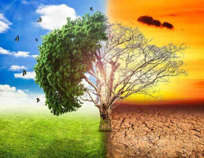 Climate Change May Trigger higher Suicide Rates