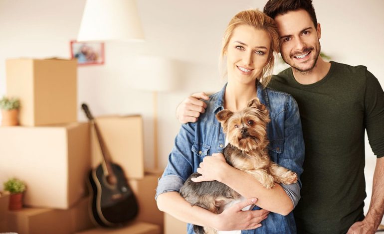 activities to do while in quarantine